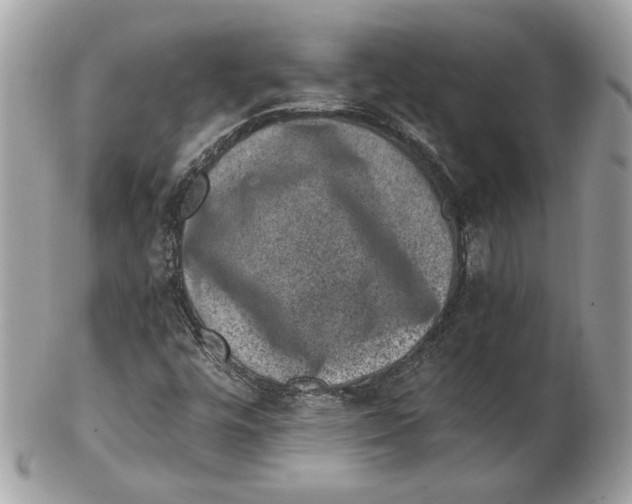 X0000102381448200808291350