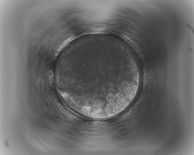 X0000102381449200808291350