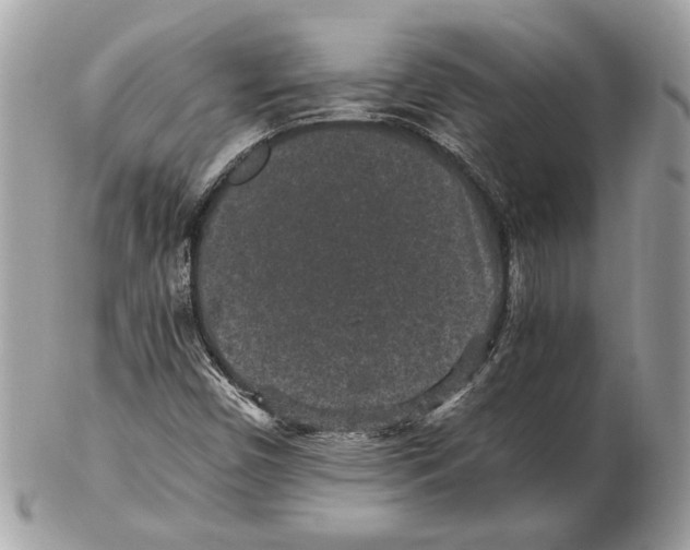 X0000102381450200808291350