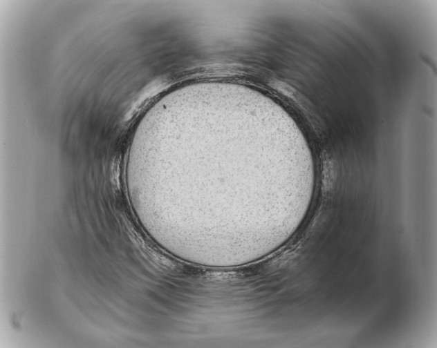 X0000102381451200808291350