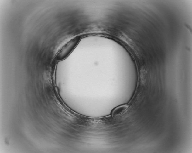 X0000102381452200808291350