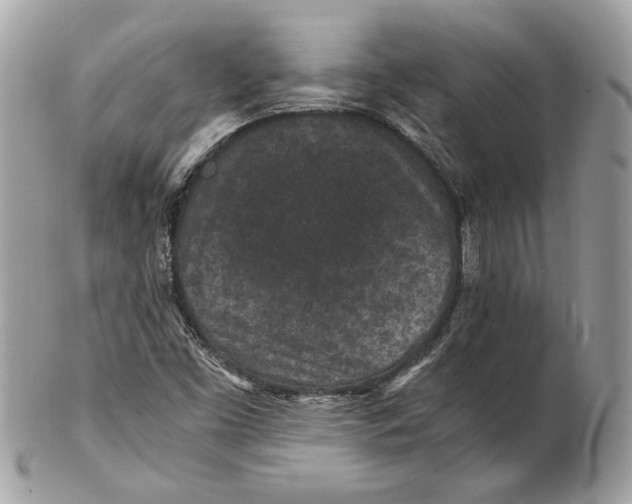 X0000102381453200808291350