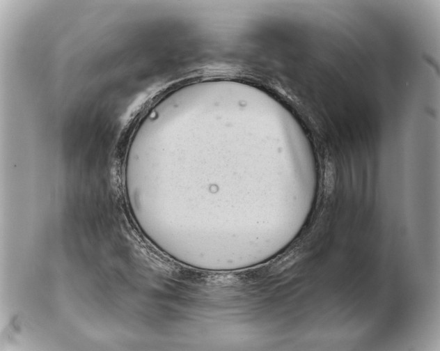 X0000102381454200808291350