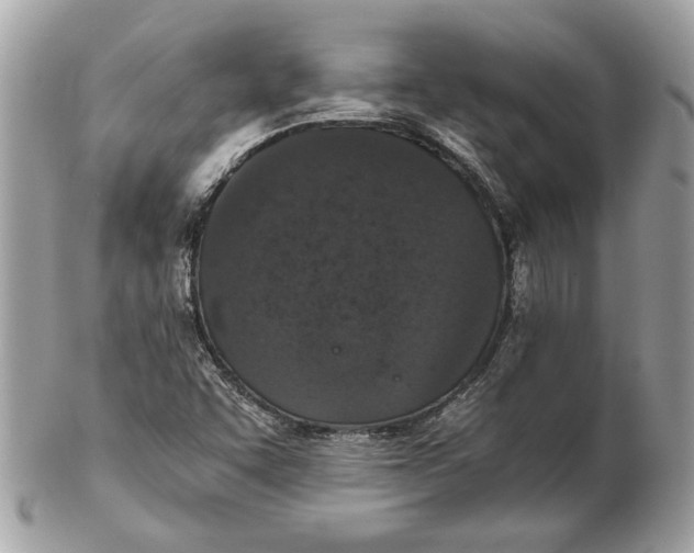 X0000102381455200808291350