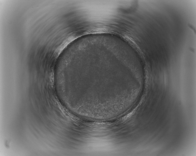 X0000102381457200808291350