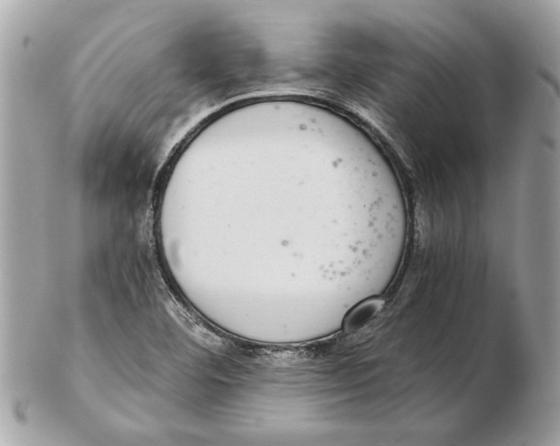 X0000102381460200808291350