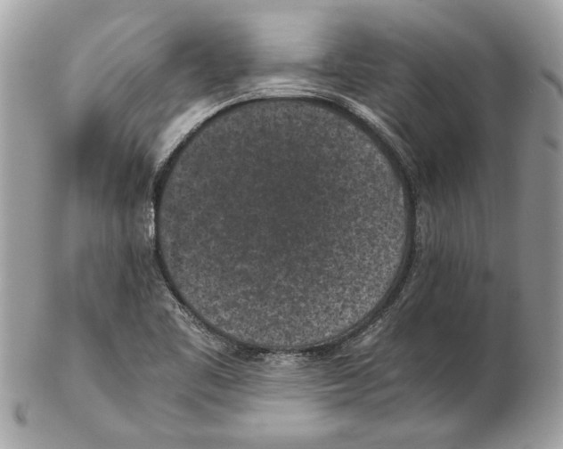 X0000102381461200808291350