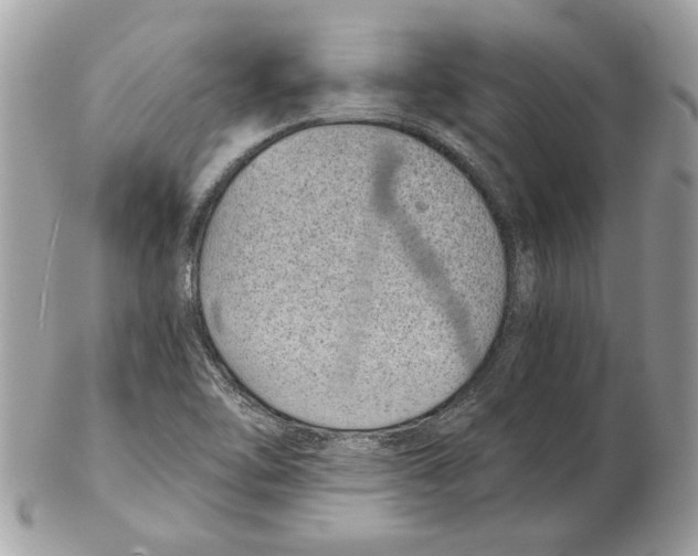 X0000102381462200808291350