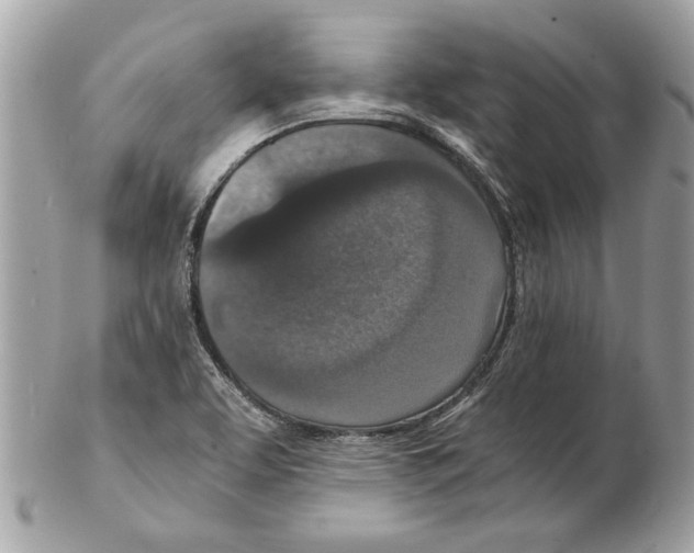 X0000102381463200808291350