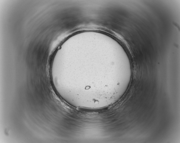 X0000102381464200808291350