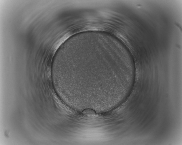 X0000102381465200808291350