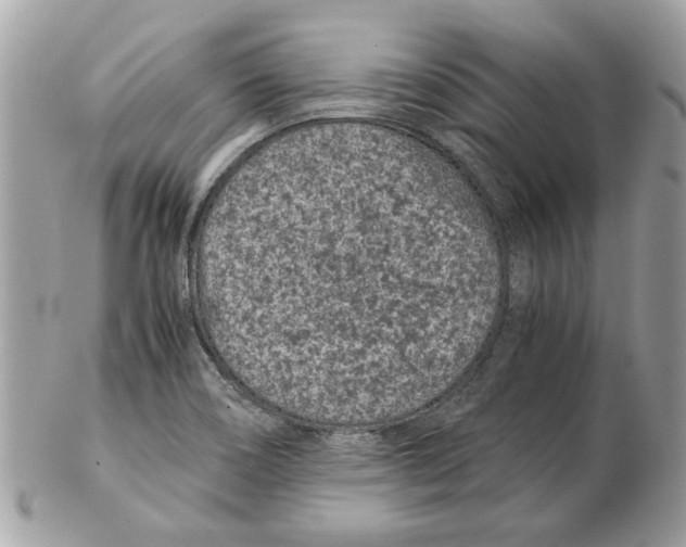 X0000102381466200808291350