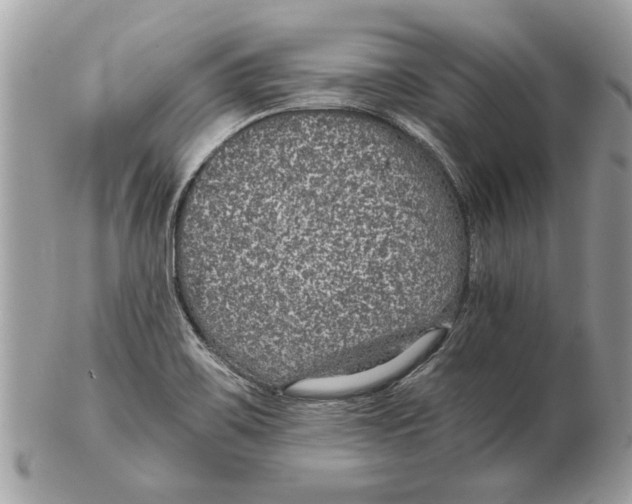 X0000102381467200808291350