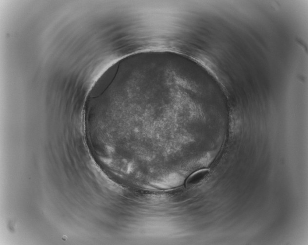 X0000102381468200808291350