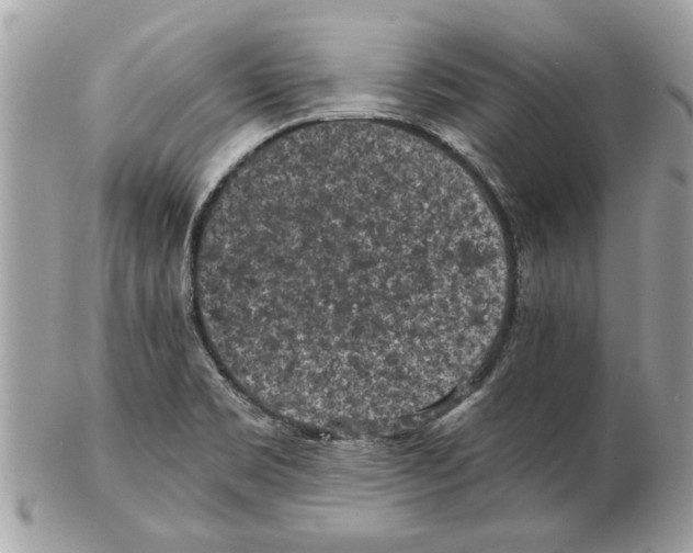 X0000102381469200808291350