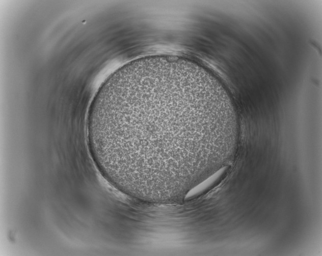 X0000102381471200808291350