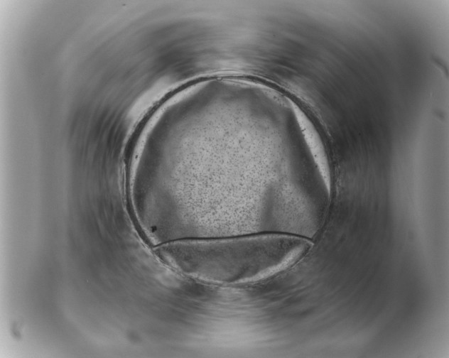 X0000102381472200808291350