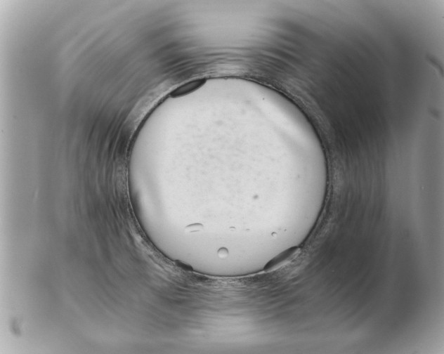 X0000102381473200808291350