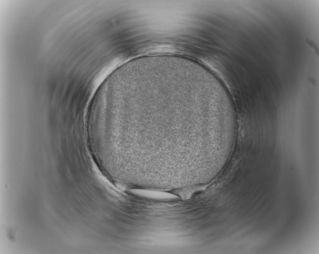 X0000102381475200808291350