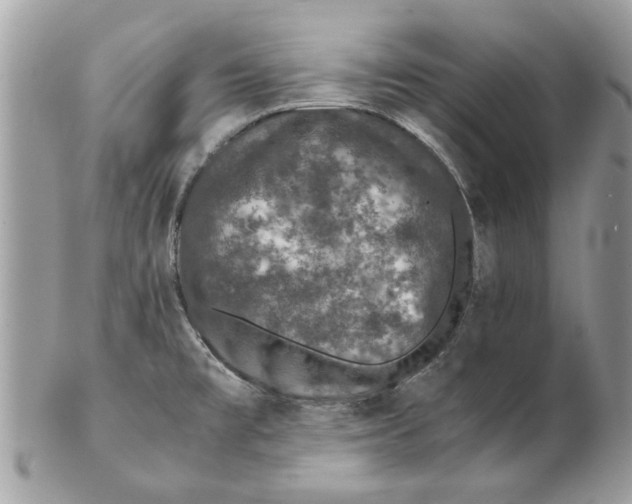 X0000102381477200808291350