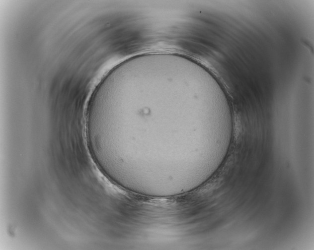 X0000102381478200808291350