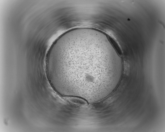 X0000102381480200808291350