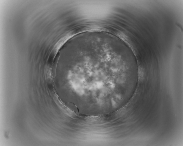 X0000102381481200808291350