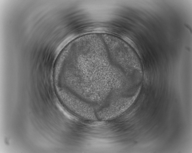 X0000102381482200808291350