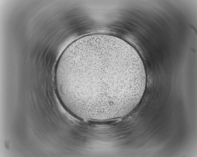 X0000102381483200808291350