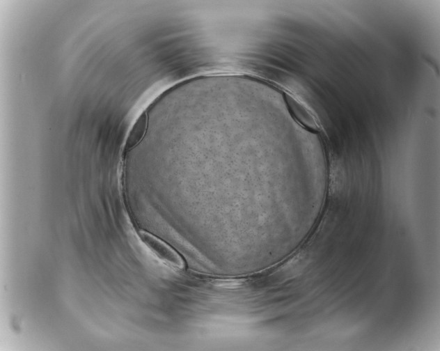 X0000102381484200808291350