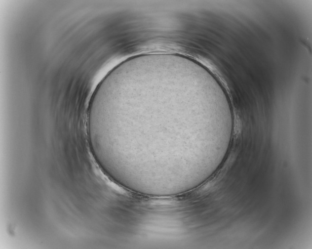 X0000102381486200808291350