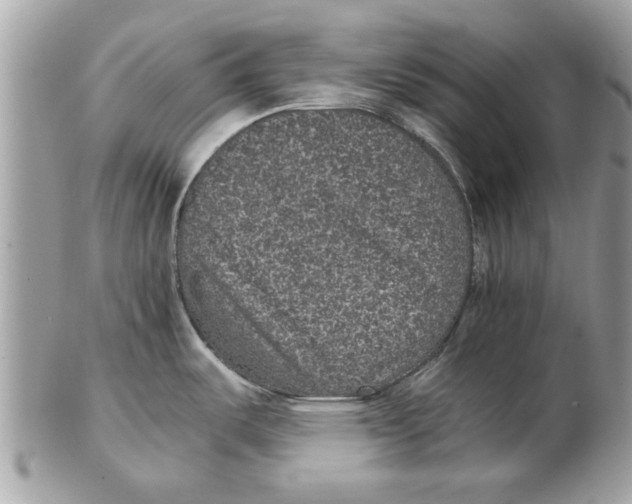 X0000102381487200808291350