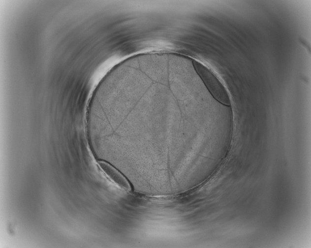 X0000102381488200808291350