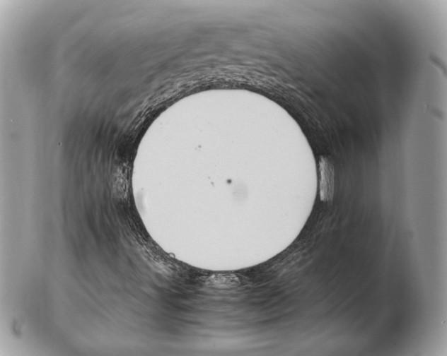 X0000102381491200808291349