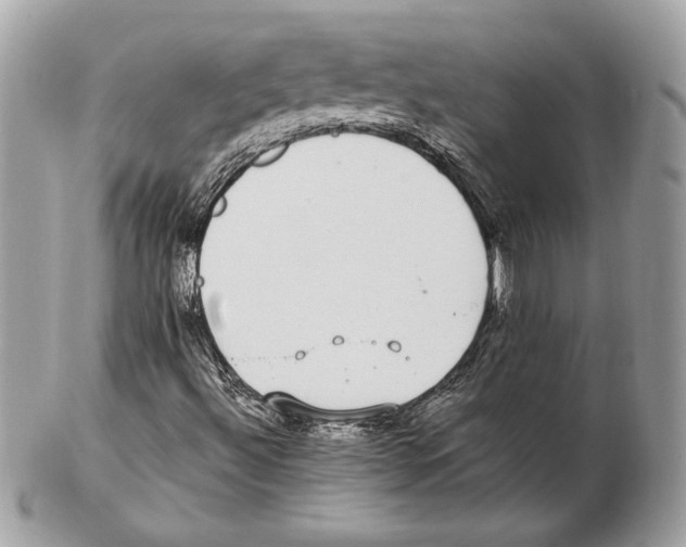 X0000102381492200808291349