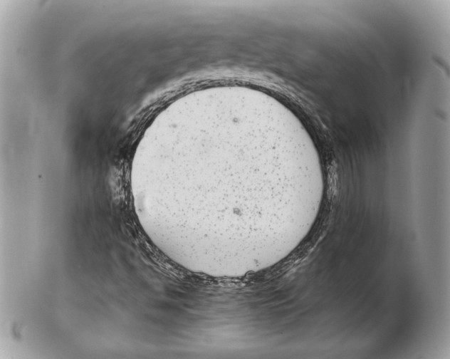 X0000102381494200808291349