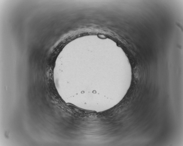 X0000102381495200808291349