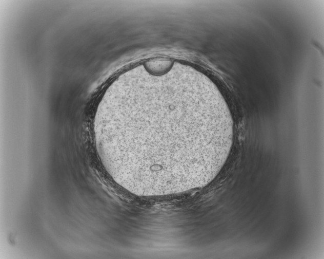 X0000102381496200808291349