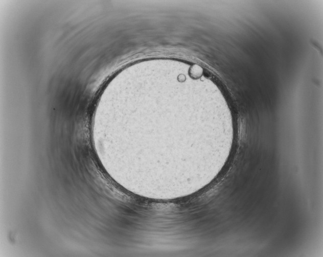 X0000102381498200808291349