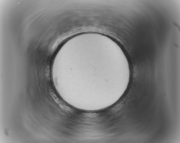 X0000102381499200808291349