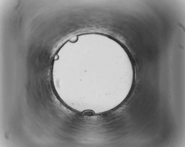 X0000102381500200808291349