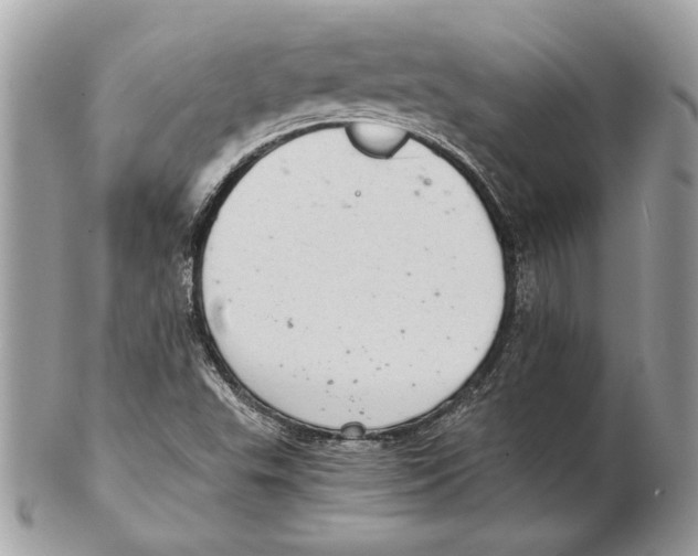 X0000102381503200808291349