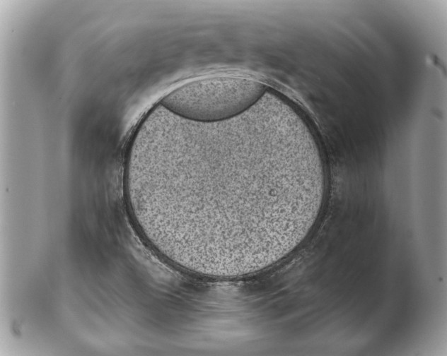 X0000102381504200808291349