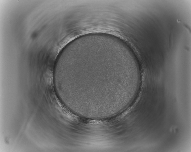 X0000102381505200808291349