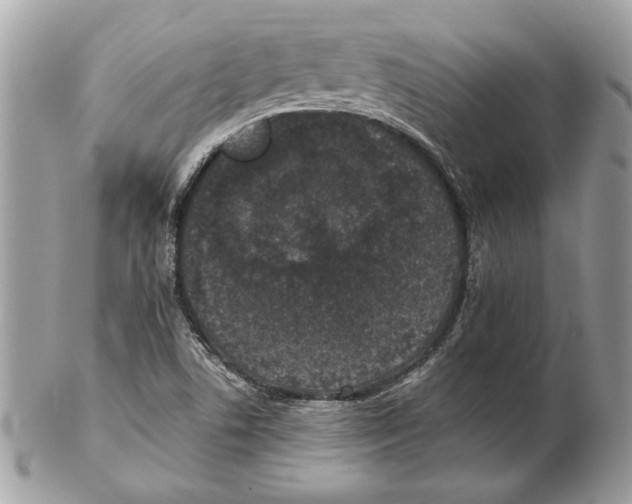 X0000102381506200808291349