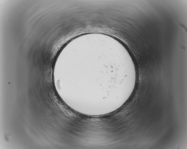 X0000102381507200808291349