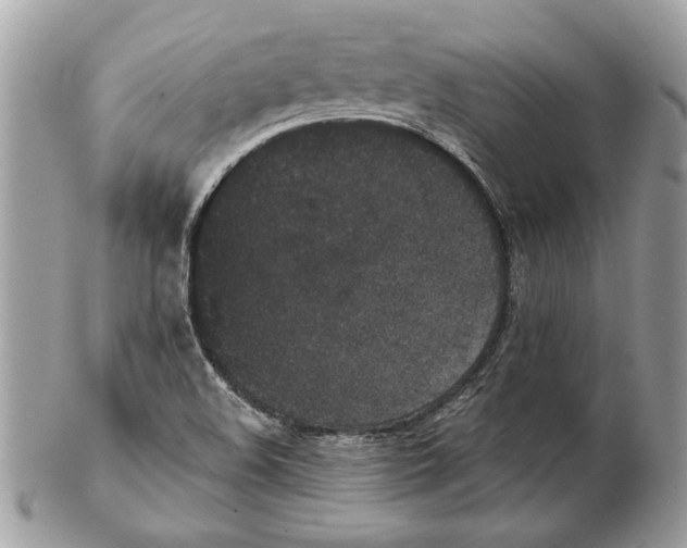 X0000102381508200808291349