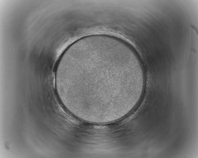 X0000102381509200808291349