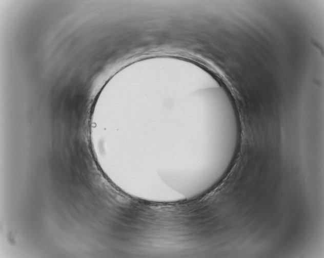 X0000102381512200808291349