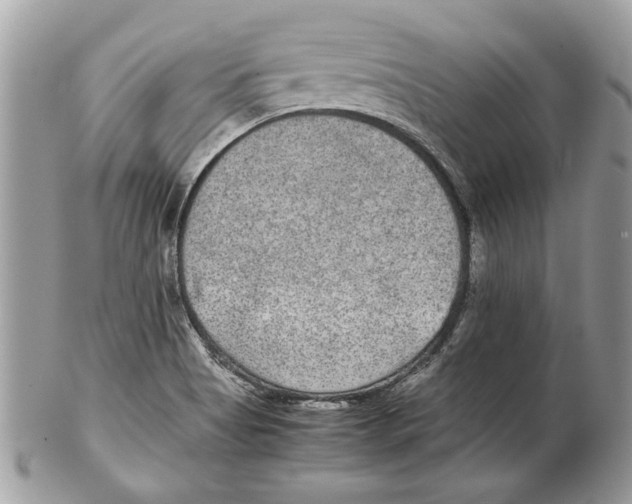 X0000102381513200808291349